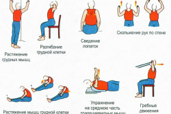 Упражнения для грудного отдела позвоночника