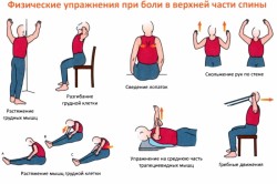 Комплекс упражнений при шейно-грудном остеохондрозе